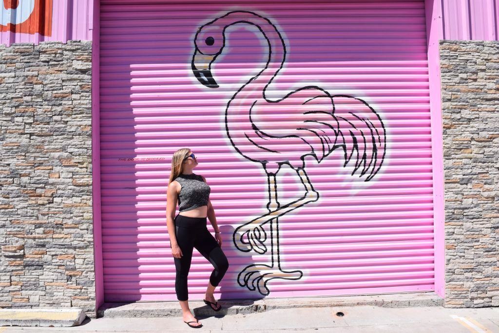 Julia in front of pink flamingo