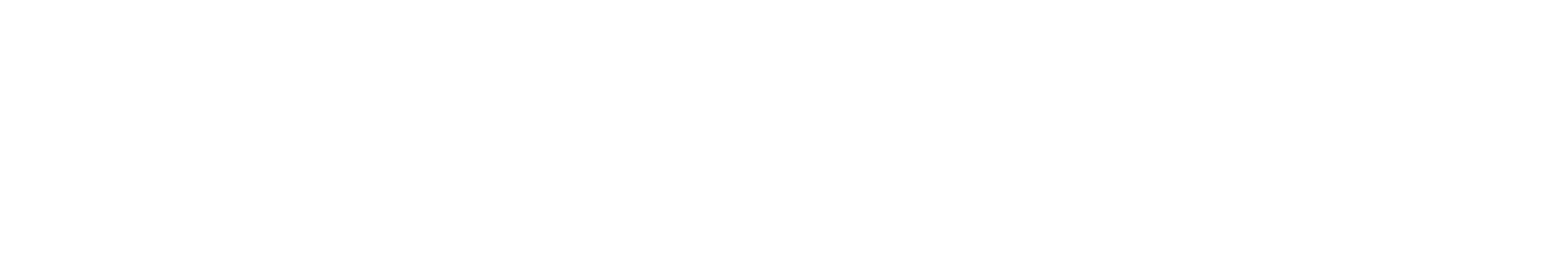 TravCon White Logo