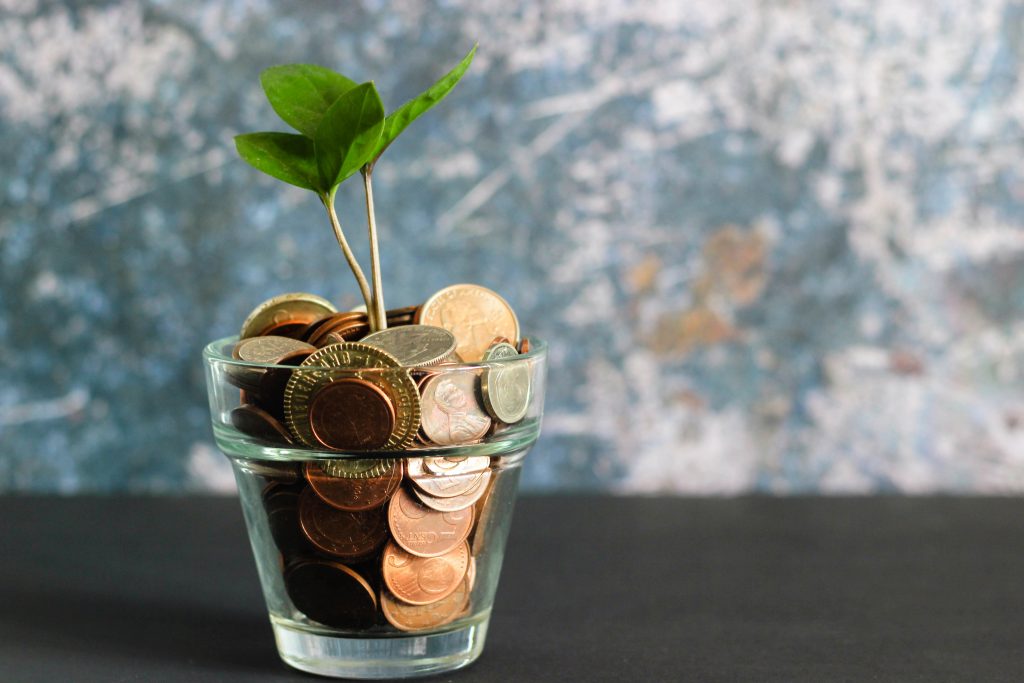 a glass vase filled with coins and a plant growing out of the money